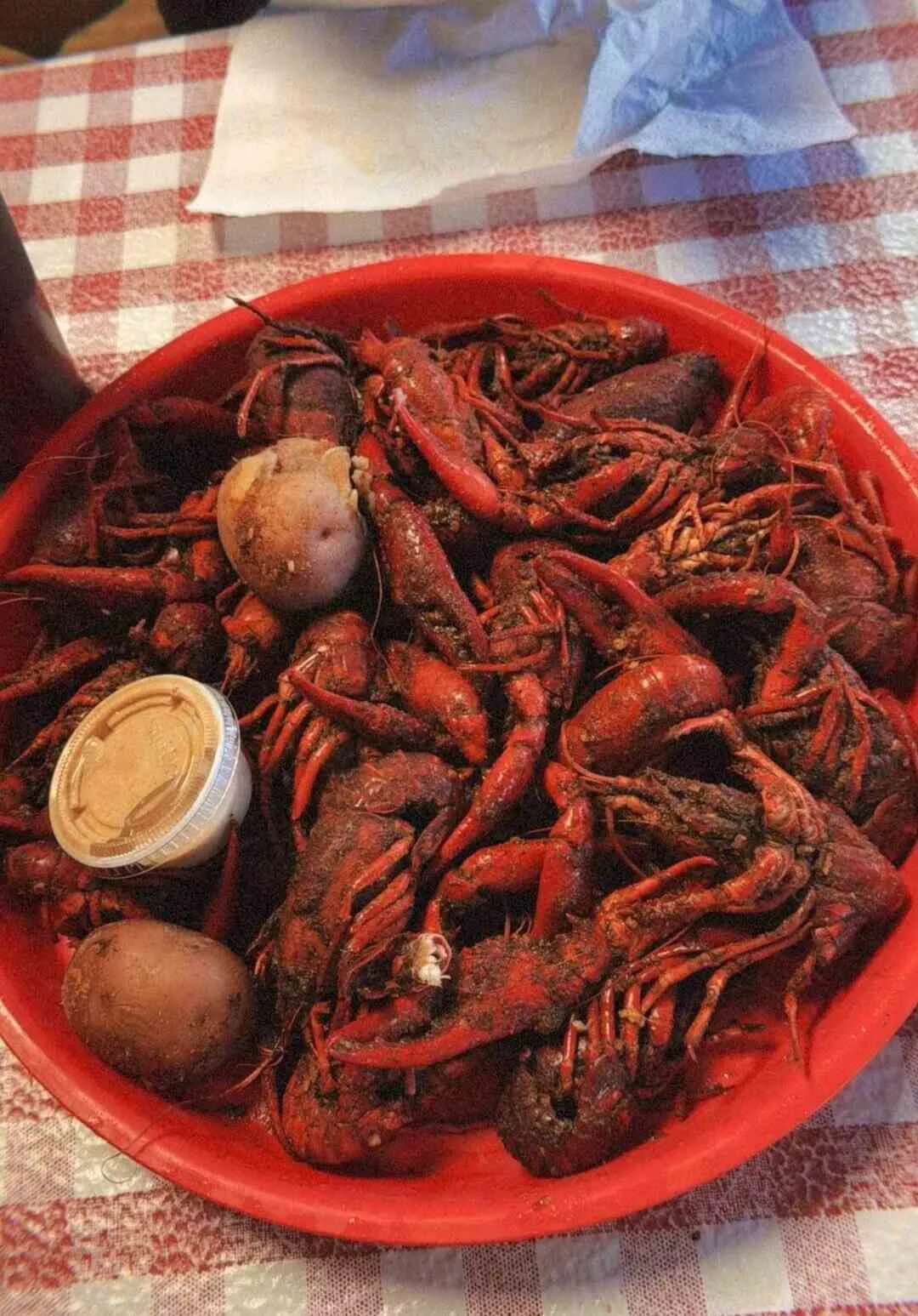 Lafayette, Louisiana